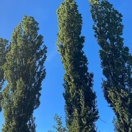 Ruhige , Ideal Fuer Berufspendler In Nonnengasse 33 Apartment