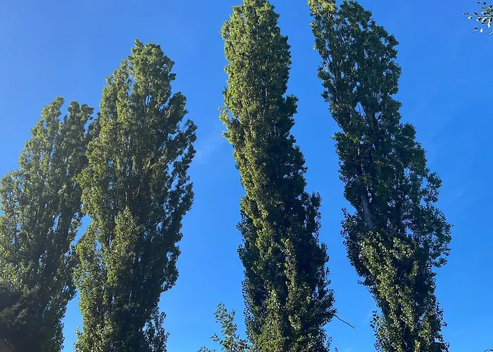 Ruhige , Ideal Fuer Berufspendler In Nonnengasse 33 Apartamento